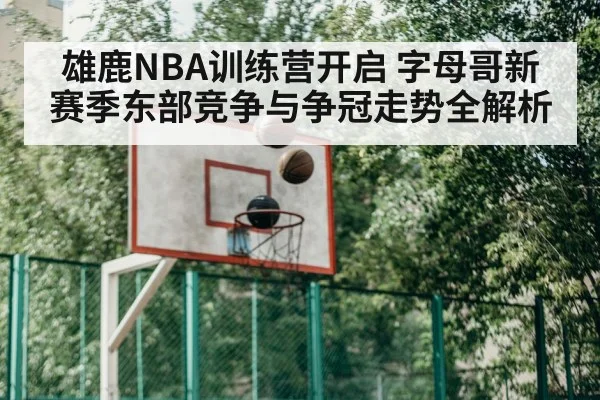 雄鹿NBA训练营开启 字母哥新赛季东部竞争与争冠走势全解析